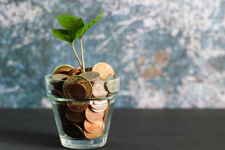 Investition Weiterbildung Geld Pflanze wachsen