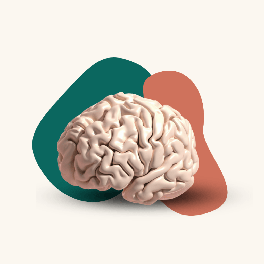 Gehirn 3D als Symbol für Psychologie